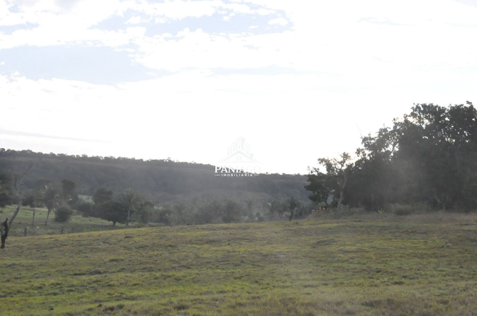 Sítio, 18 hectares - Foto 26