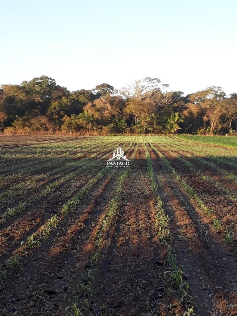 Chácara, 4 quartos, 11 hectares - Foto 15