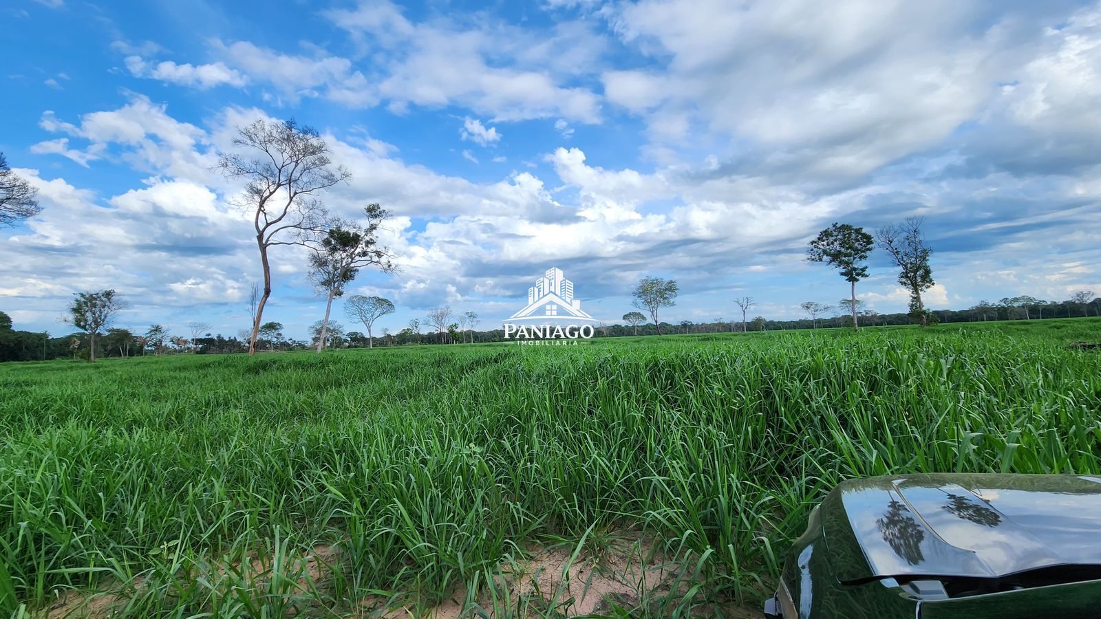 Fazenda, 1550 hectares - Foto 13