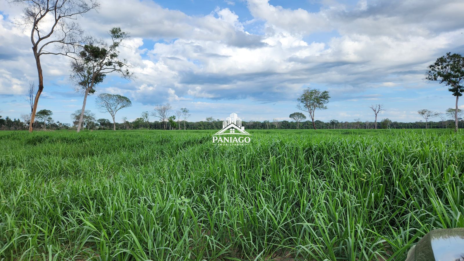 Fazenda, 1550 hectares - Foto 15