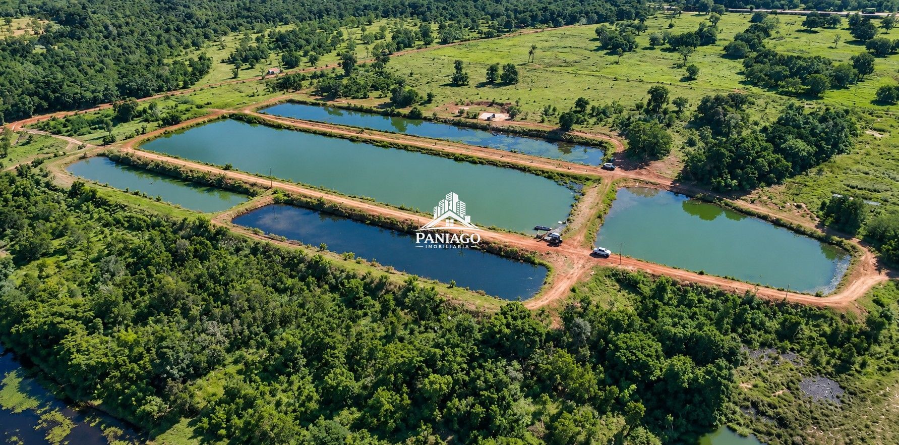 Fazenda, 117 hectares - Foto 3