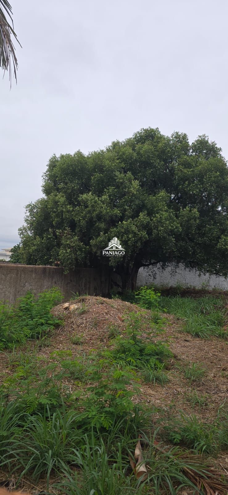 Terreno, 1100 m² - Foto 5