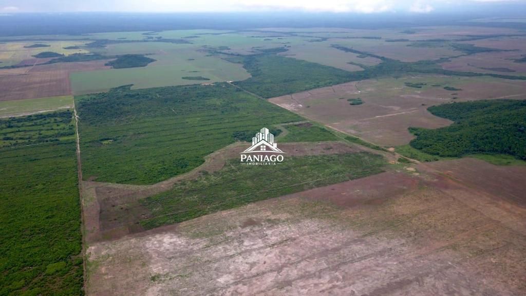 Fazenda, 39000 hectares - Foto 9