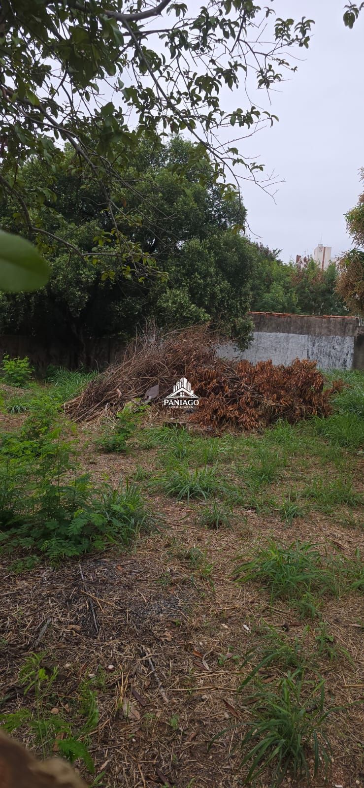 Terreno, 1100 m² - Foto 3