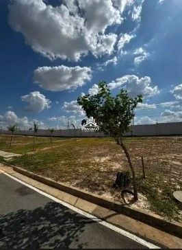 Terreno, 200 m² - Foto 4