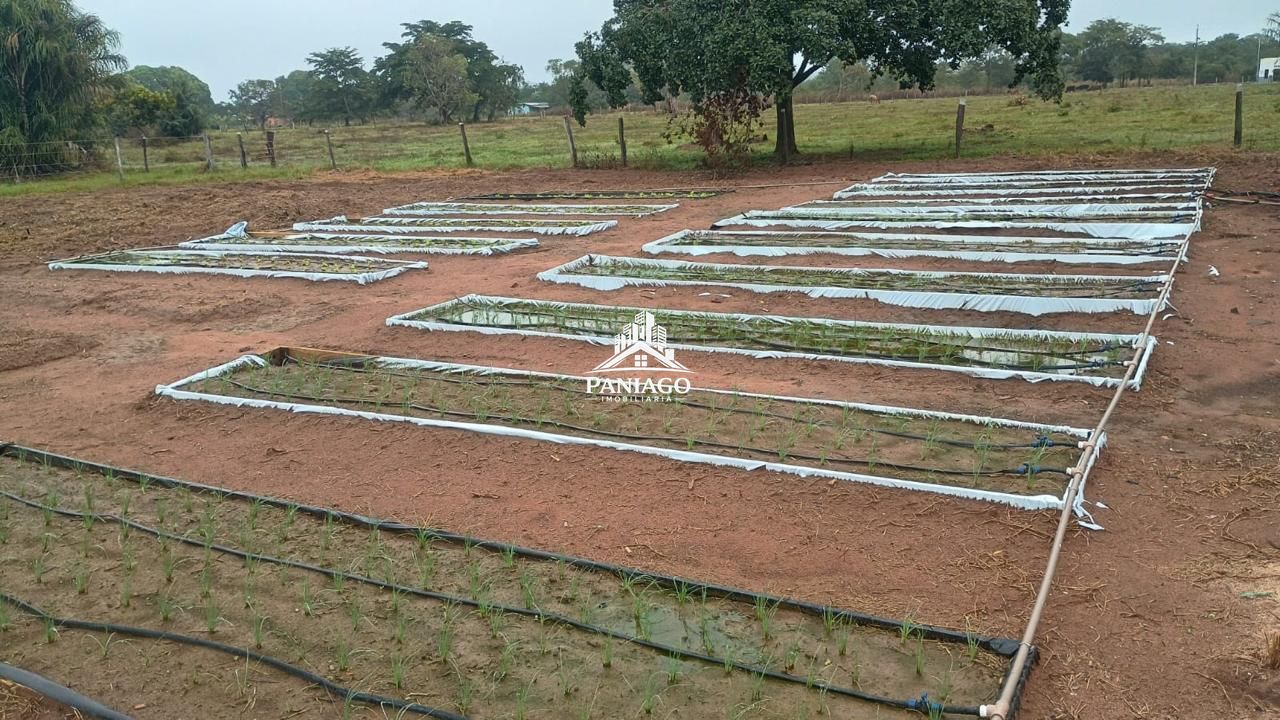 Chácara, 2 quartos, 10 hectares - Foto 7