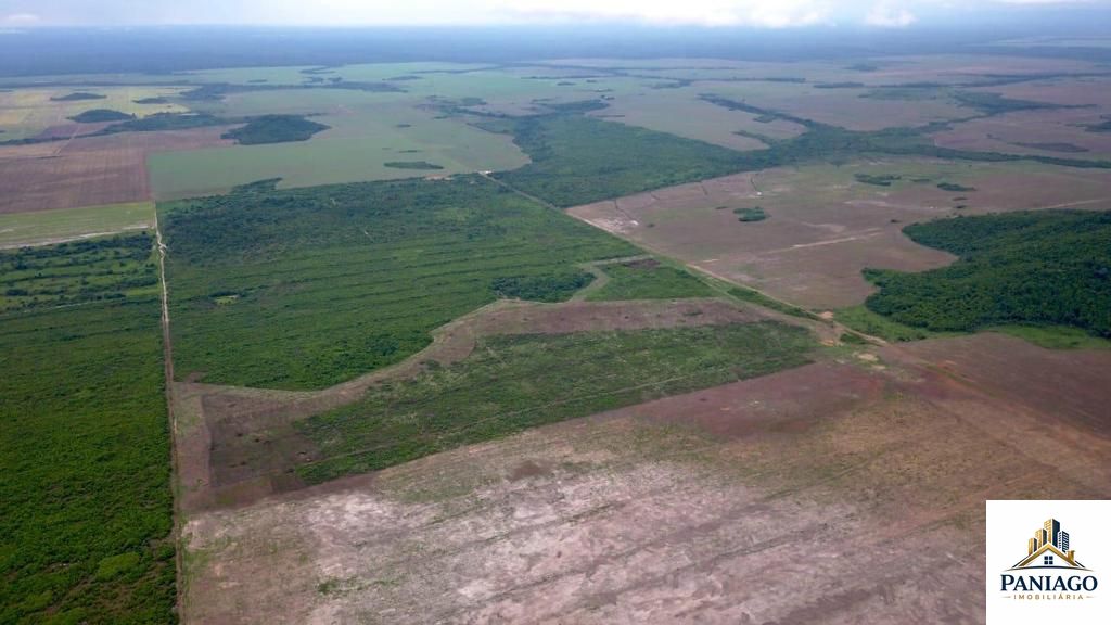 Fazenda, 39000 hectares - Foto 9