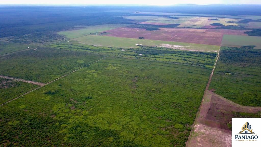 Fazenda, 39000 hectares - Foto 13