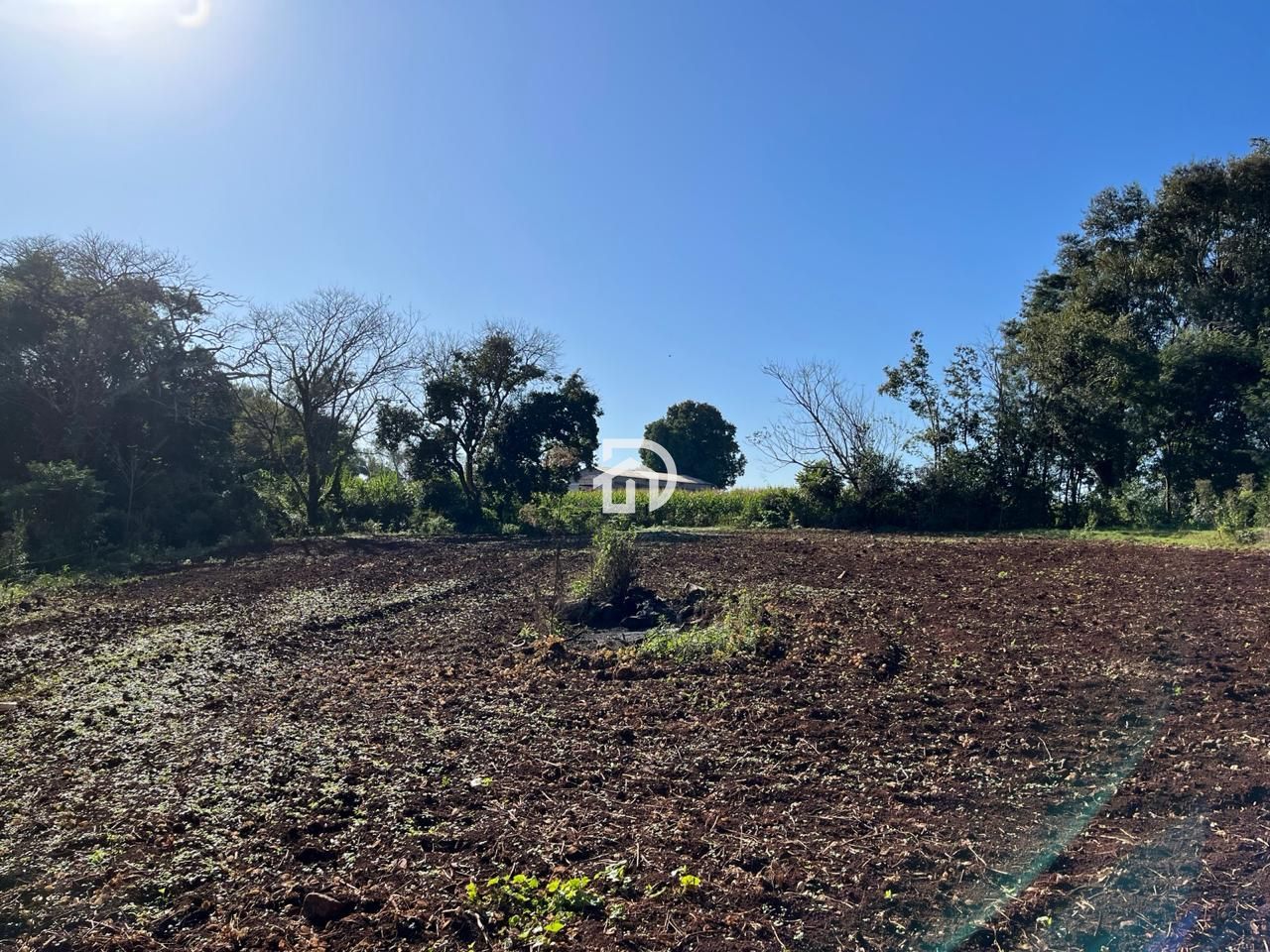 Chácara em são clemente por R$768.000