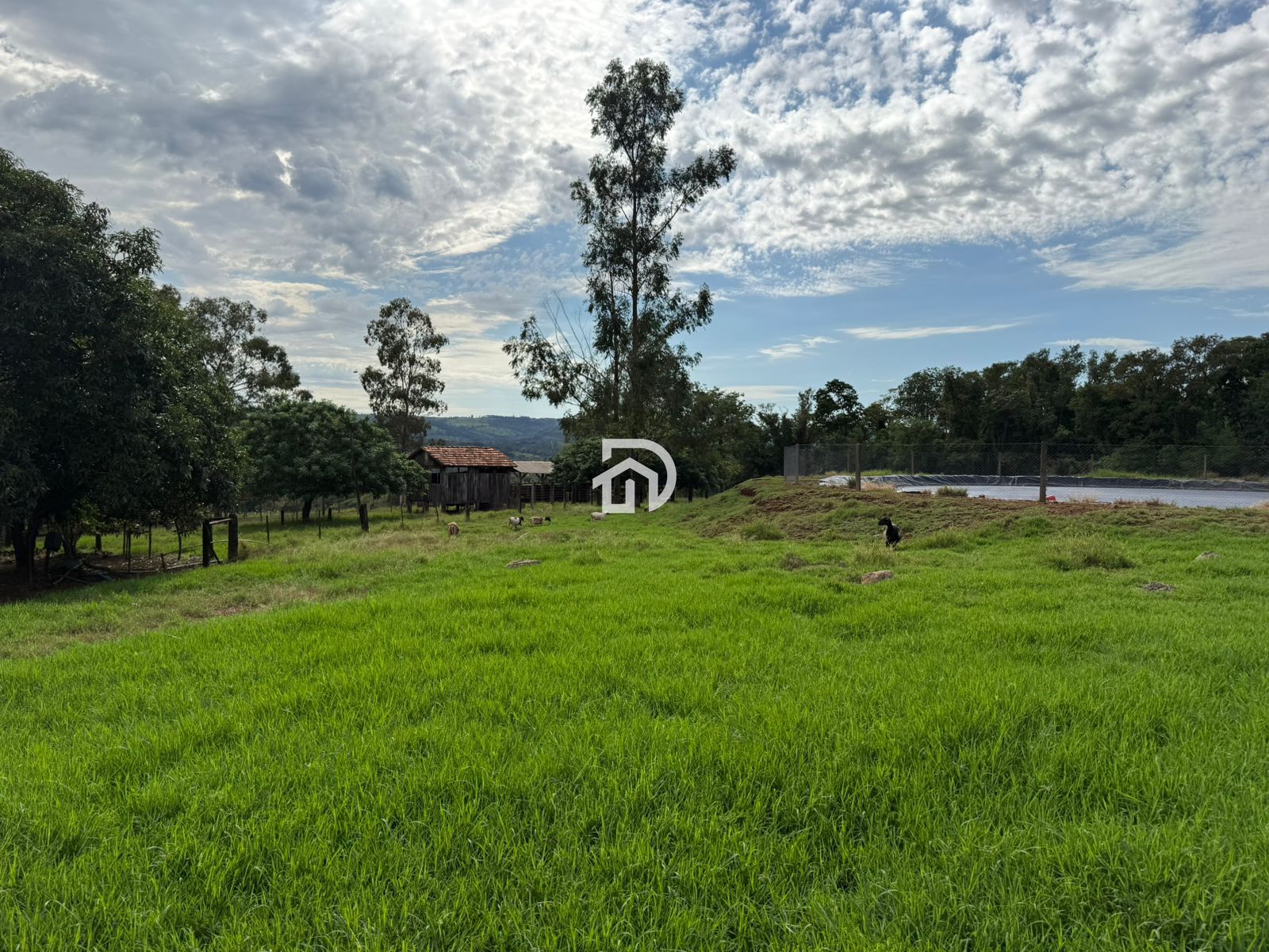 12 Alqueires por R$5.400.000 em São Miguelzinho em Santa Helena - PR