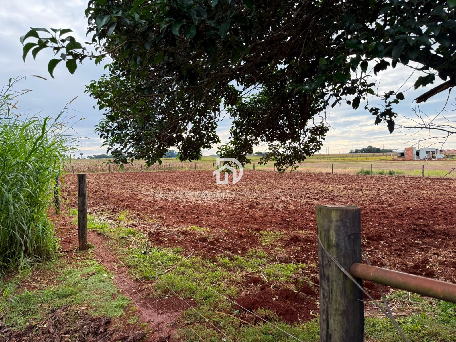 Chácara a Venda na Linha Gaúcha em Santa Helena-PR - foto 20