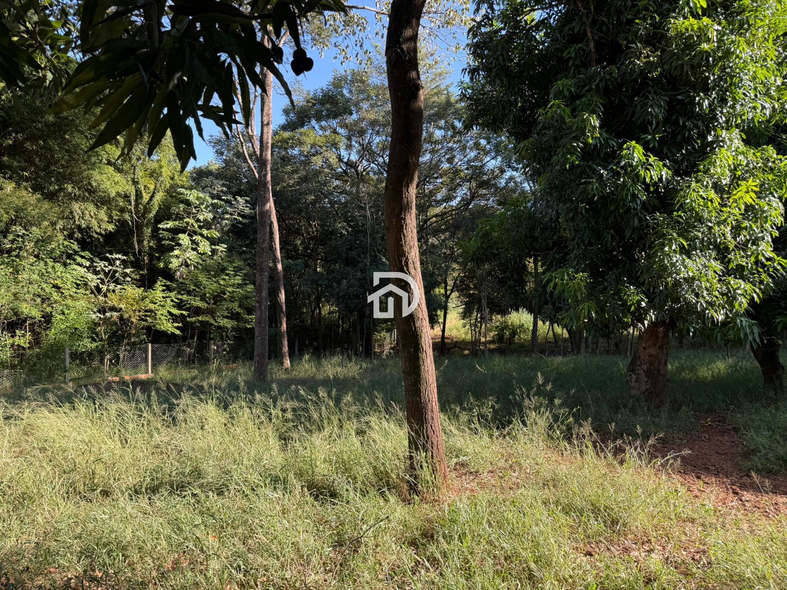 3,83 Alqueires com Casa na Linha Santa Cruz a Venda em Santa Helena-PR
