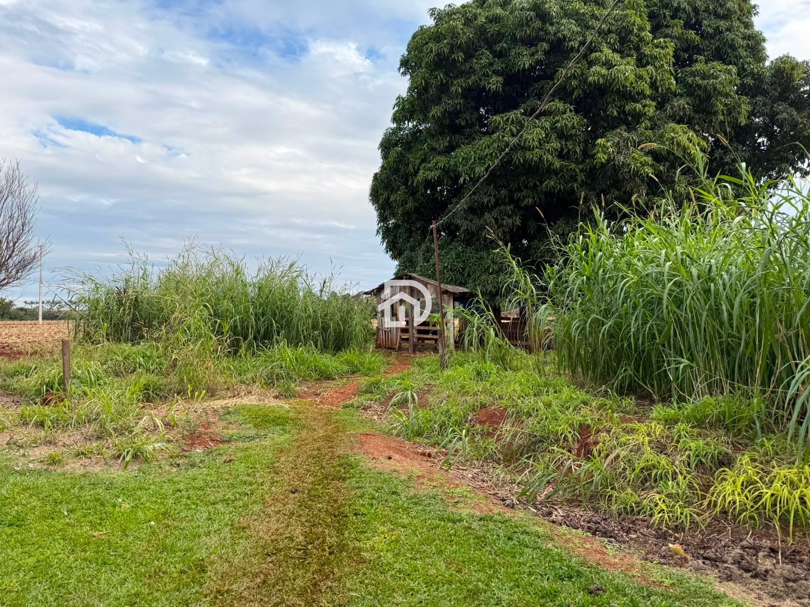 Chácara a Venda na Linha Gaúcha em Santa Helena-PR - foto 16
