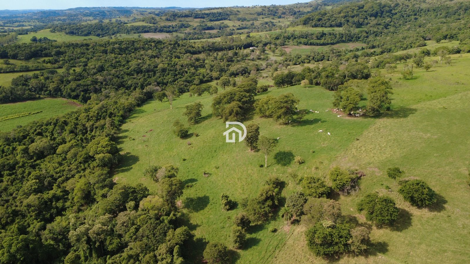 12 Alqueires por R$5.400.000 em São Miguelzinho em Santa Helena - PR