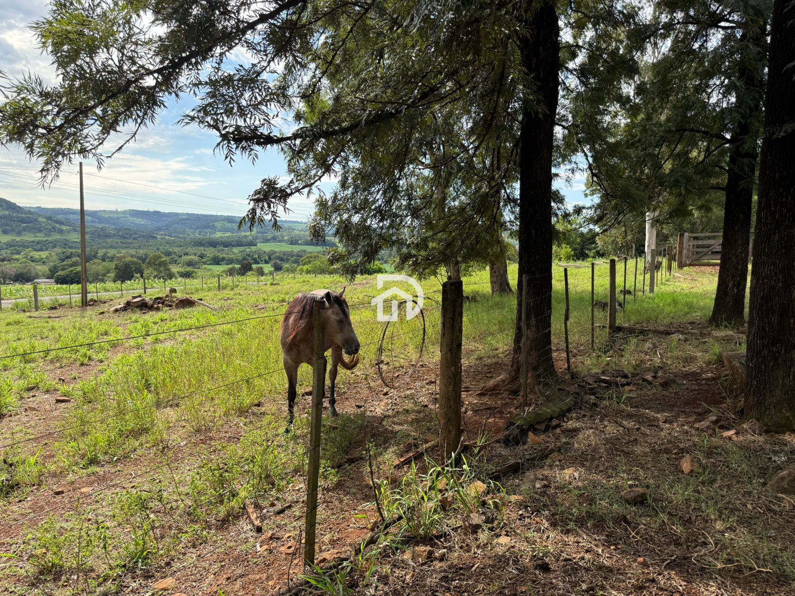 12 Alqueires por R$5.400.000 em São Miguelzinho em Santa Helena - PR