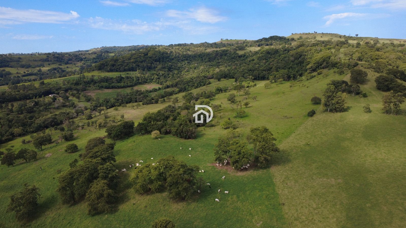 12 Alqueires por R$5.400.000 em São Miguelzinho em Santa Helena - PR