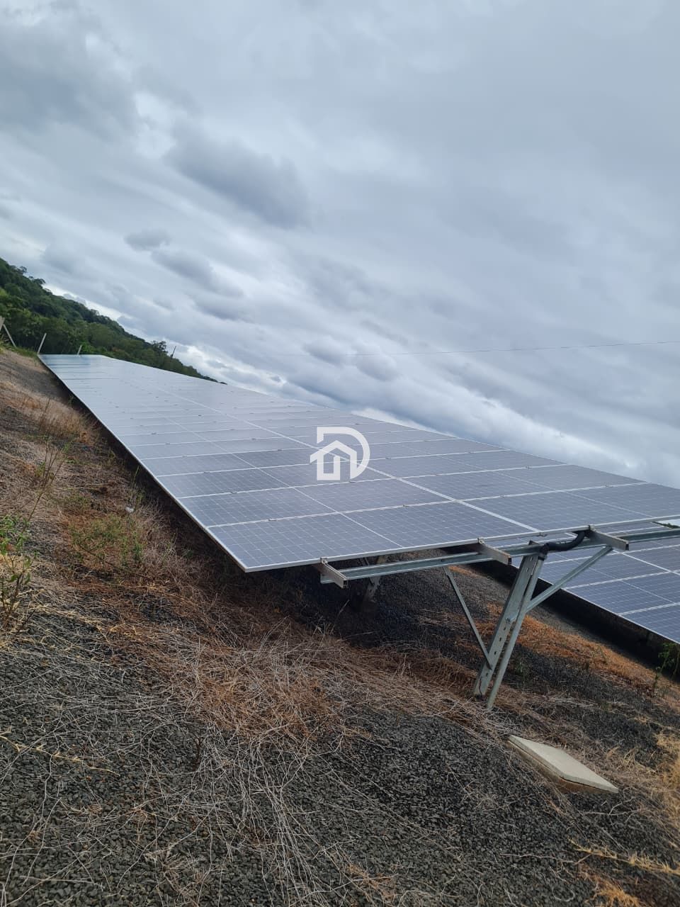 Chácara 3 dormitórios à venda Área Rural Distrito de São Clemente Santa Helena/PR - foto 15
