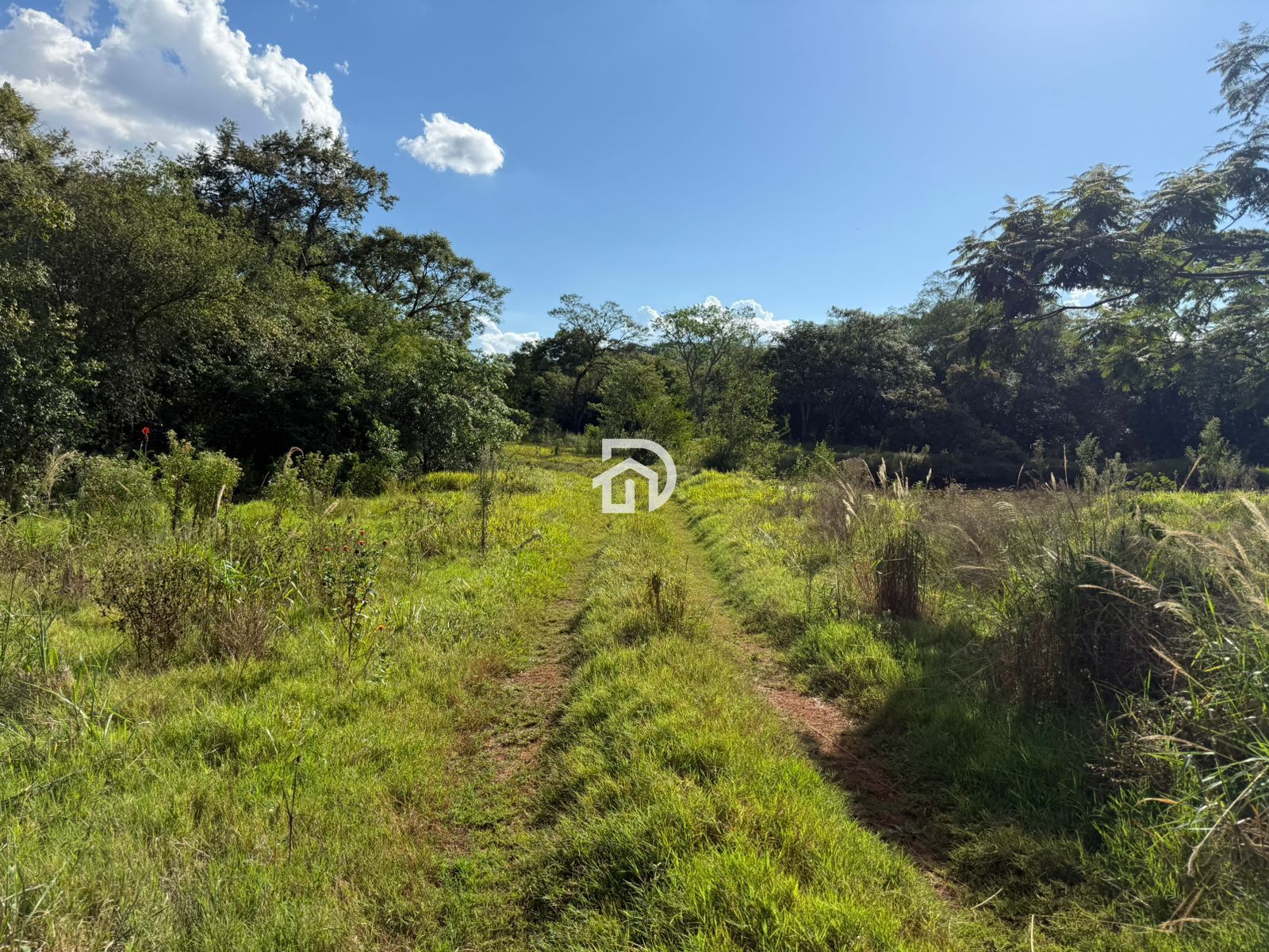 5,31 alqueires na linha são jorge em santa helena - pr