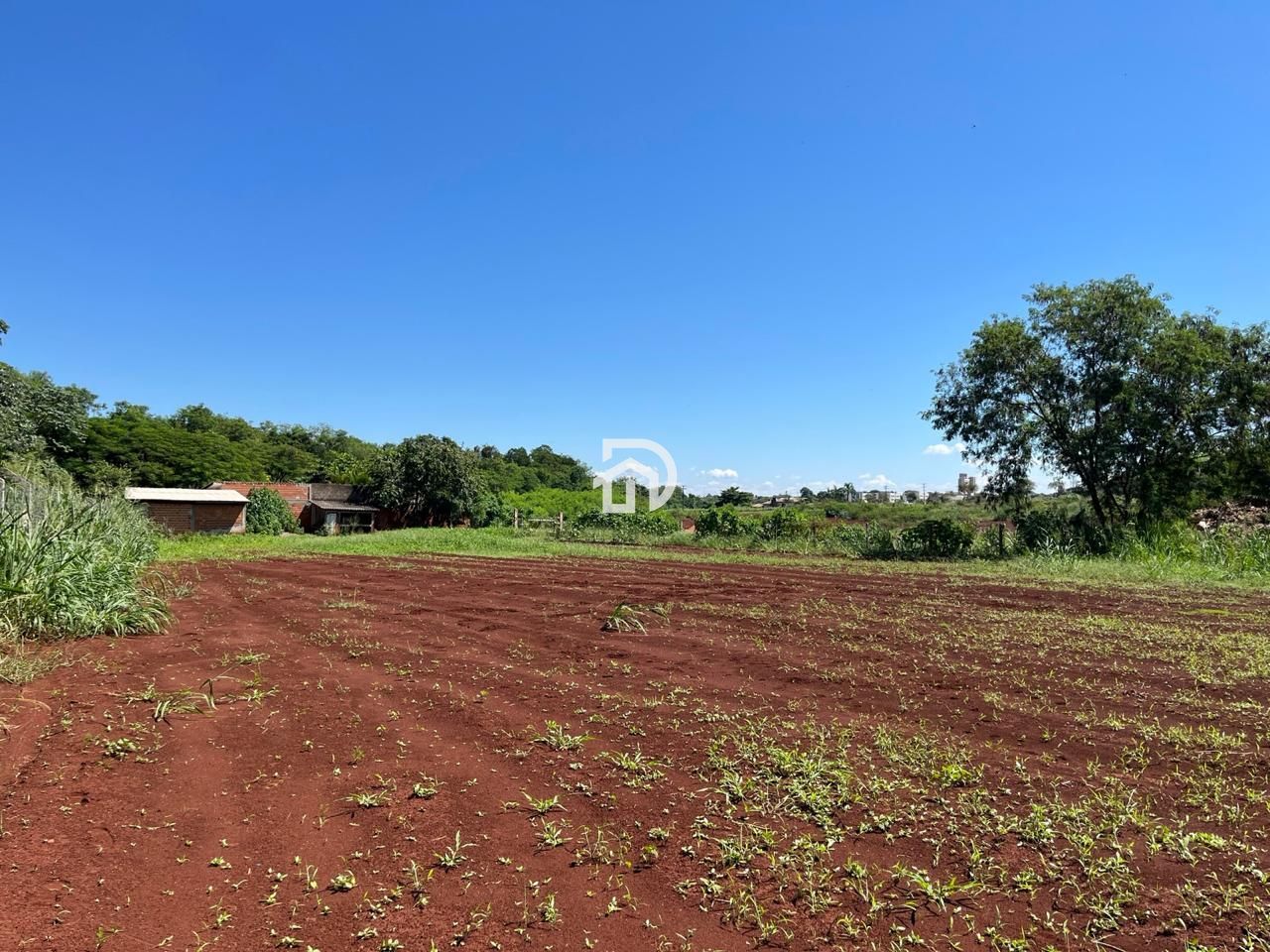 Chácara por R$1.0000,00 no Bairro União em Santa Helena-PR - foto 5