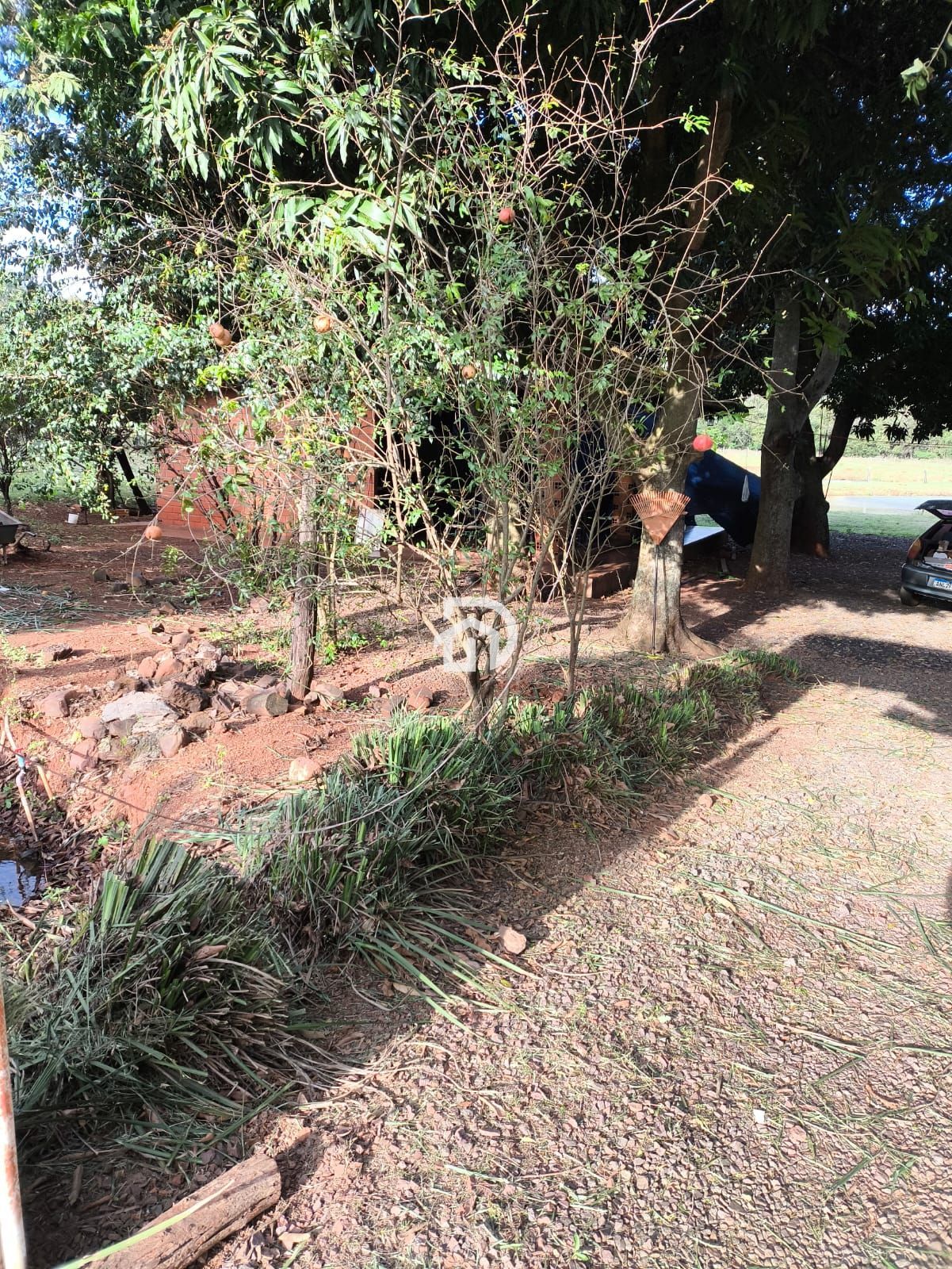 Chácara 3 dormitórios à venda Área Rural Distrito de São Clemente Santa Helena/PR - foto 13