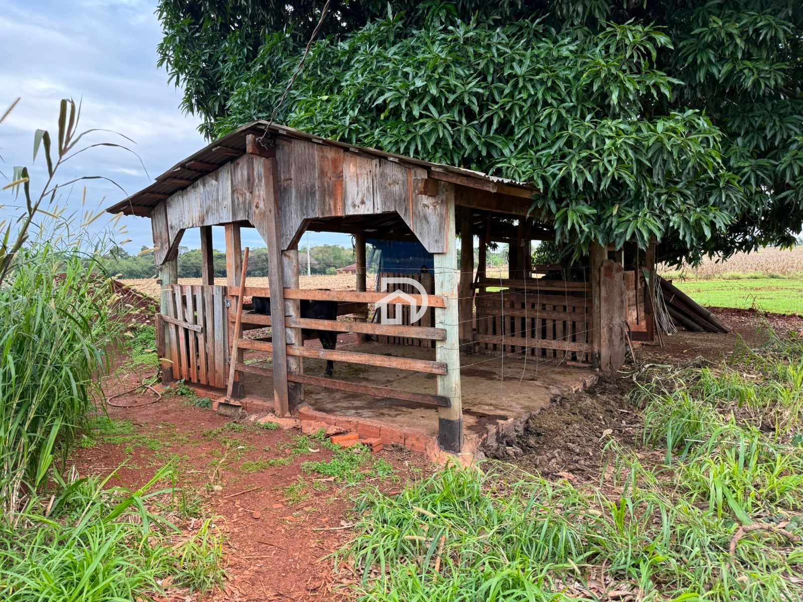 Chácara a Venda na Linha Gaúcha em Santa Helena-PR - foto 21