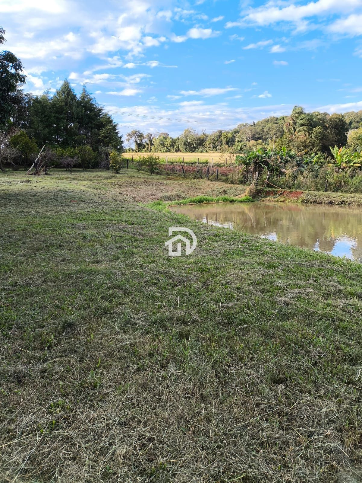 Chácara 3 dormitórios à venda Área Rural Distrito de São Clemente Santa Helena/PR - foto 7