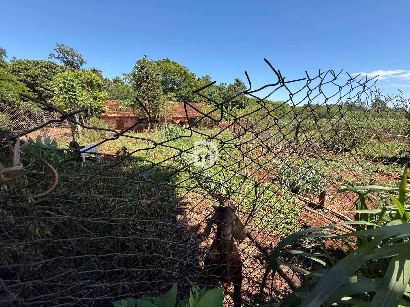 2.5 Alqueires com Casa na Linha Santa Cruz