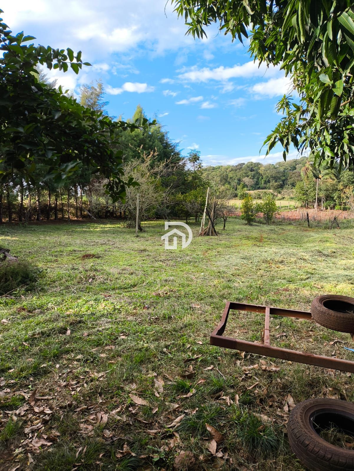 Chácara 3 dormitórios à venda Área Rural Distrito de São Clemente Santa Helena/PR - foto 6