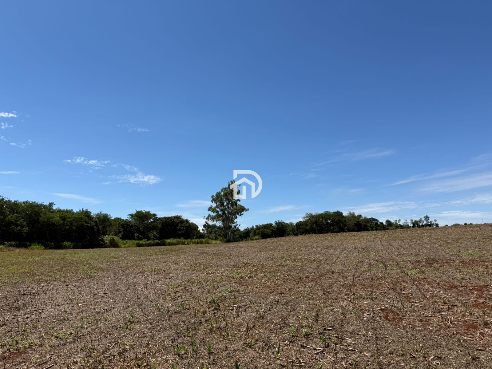 2.5 Alqueires com Casa na Linha Santa Cruz