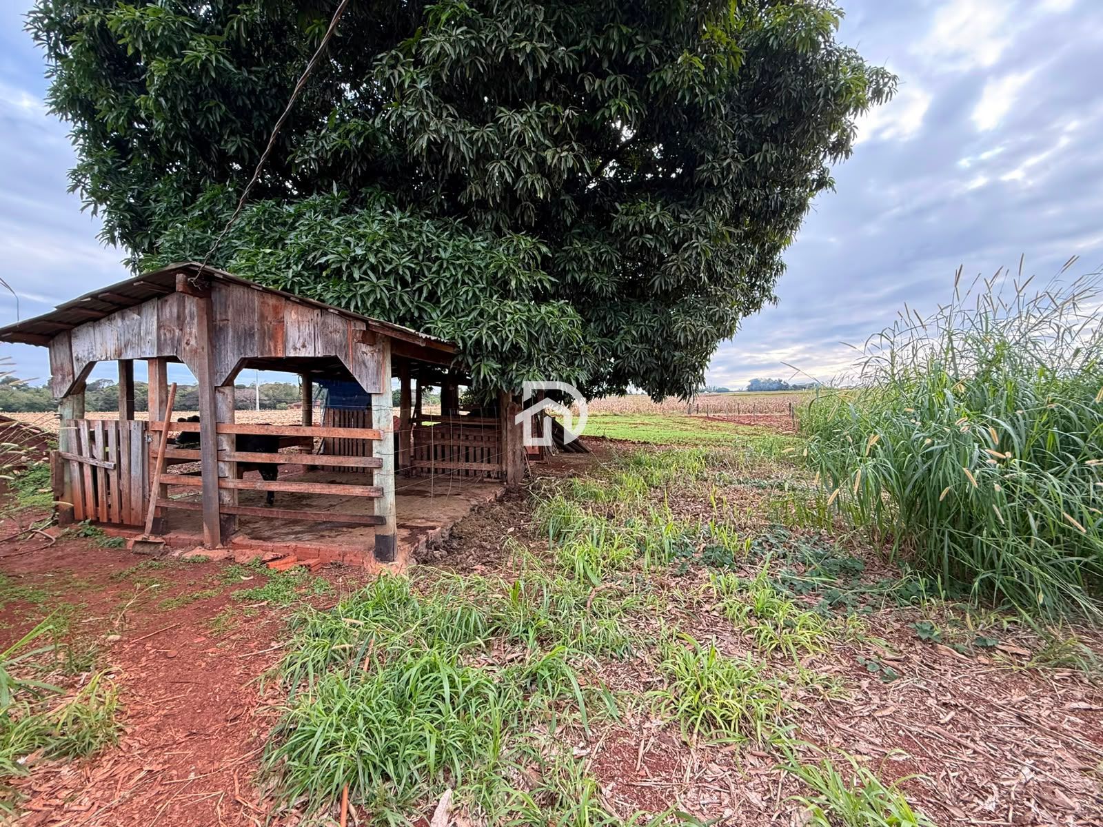 Chácara a Venda na Linha Gaúcha em Santa Helena-PR - foto 23