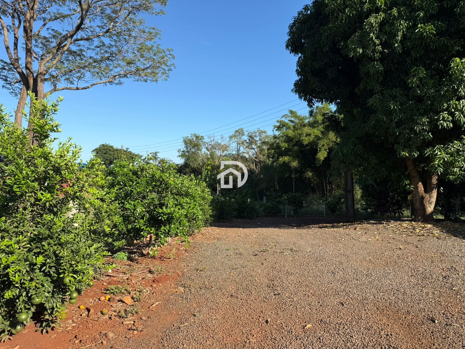 3,83 alqueires com casa na linha santa cruz a venda em santa
