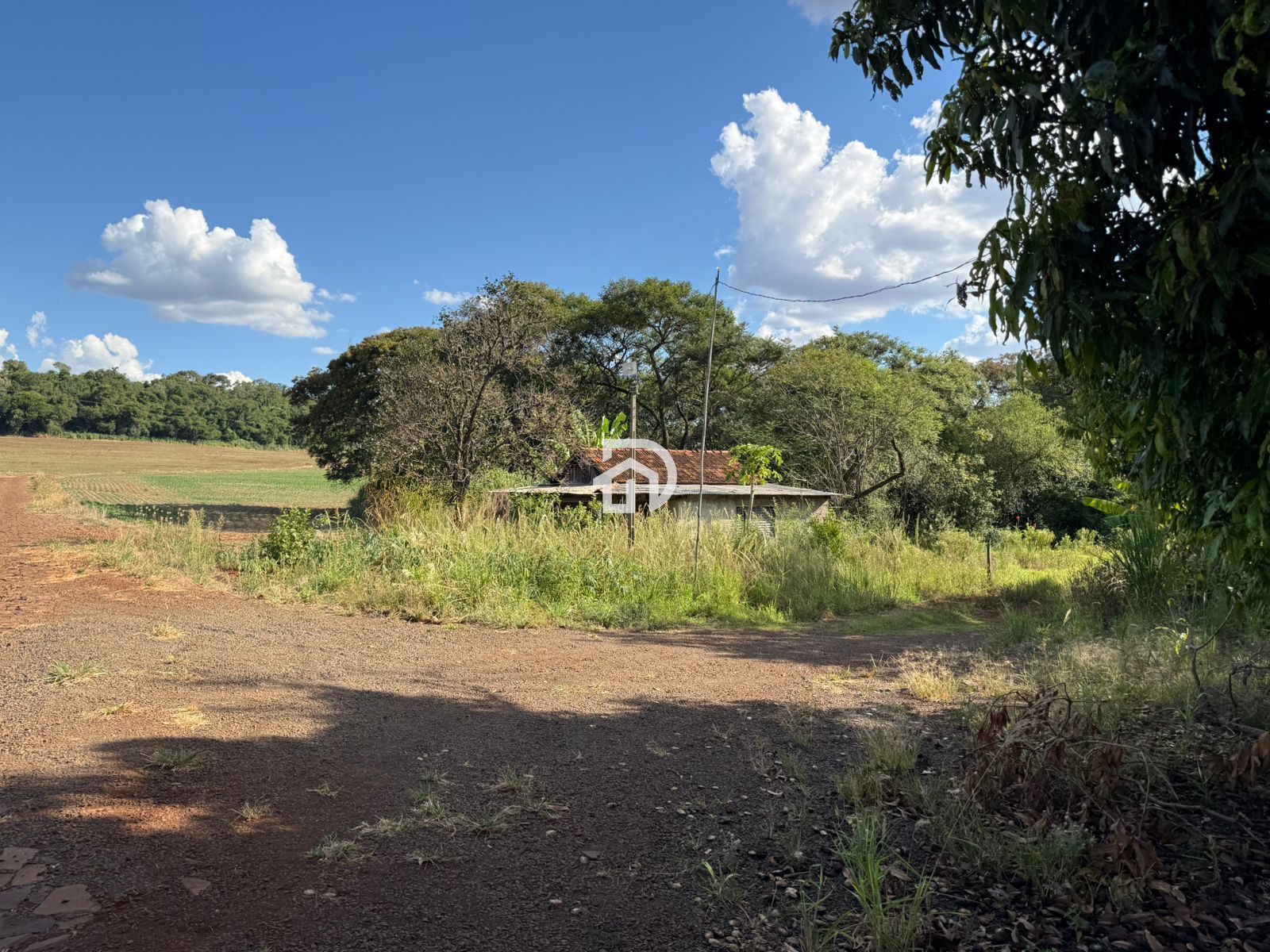5,31 alqueires na linha são jorge em santa helena - pr