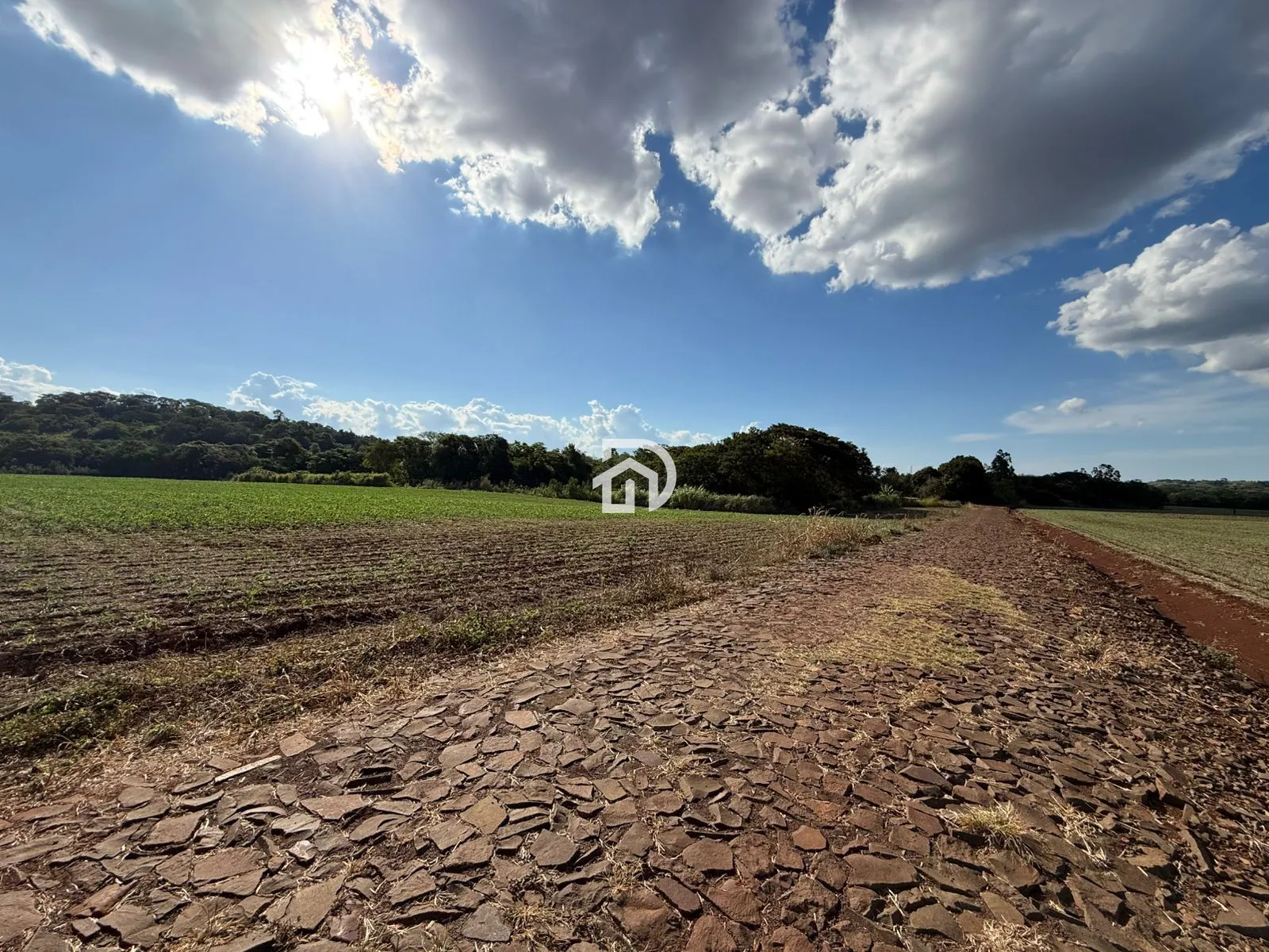Fazenda/sítio/chácara/haras à venda  no Área Rural Comunidade Linha Esquina Céu Azul - Santa Helena, PR. Imóveis