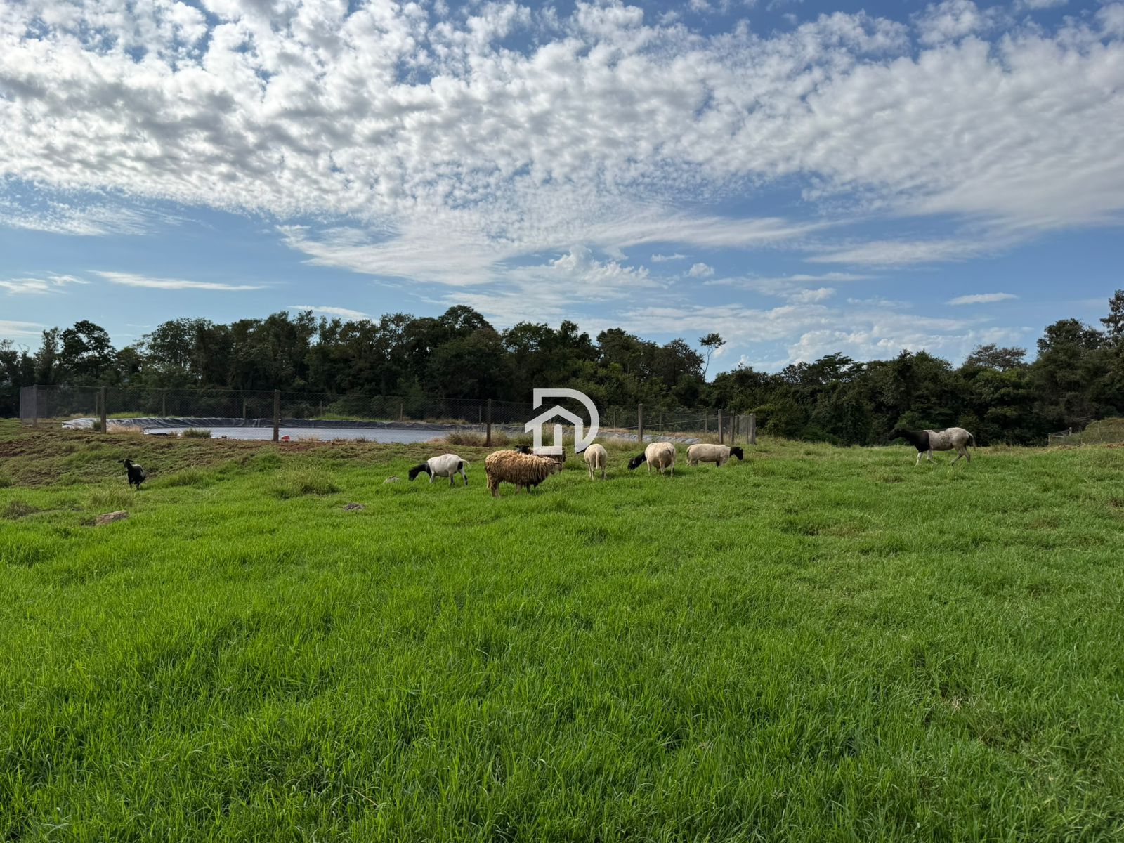 12 alqueires por R$5.400.000 em são miguelzinho em santa hel