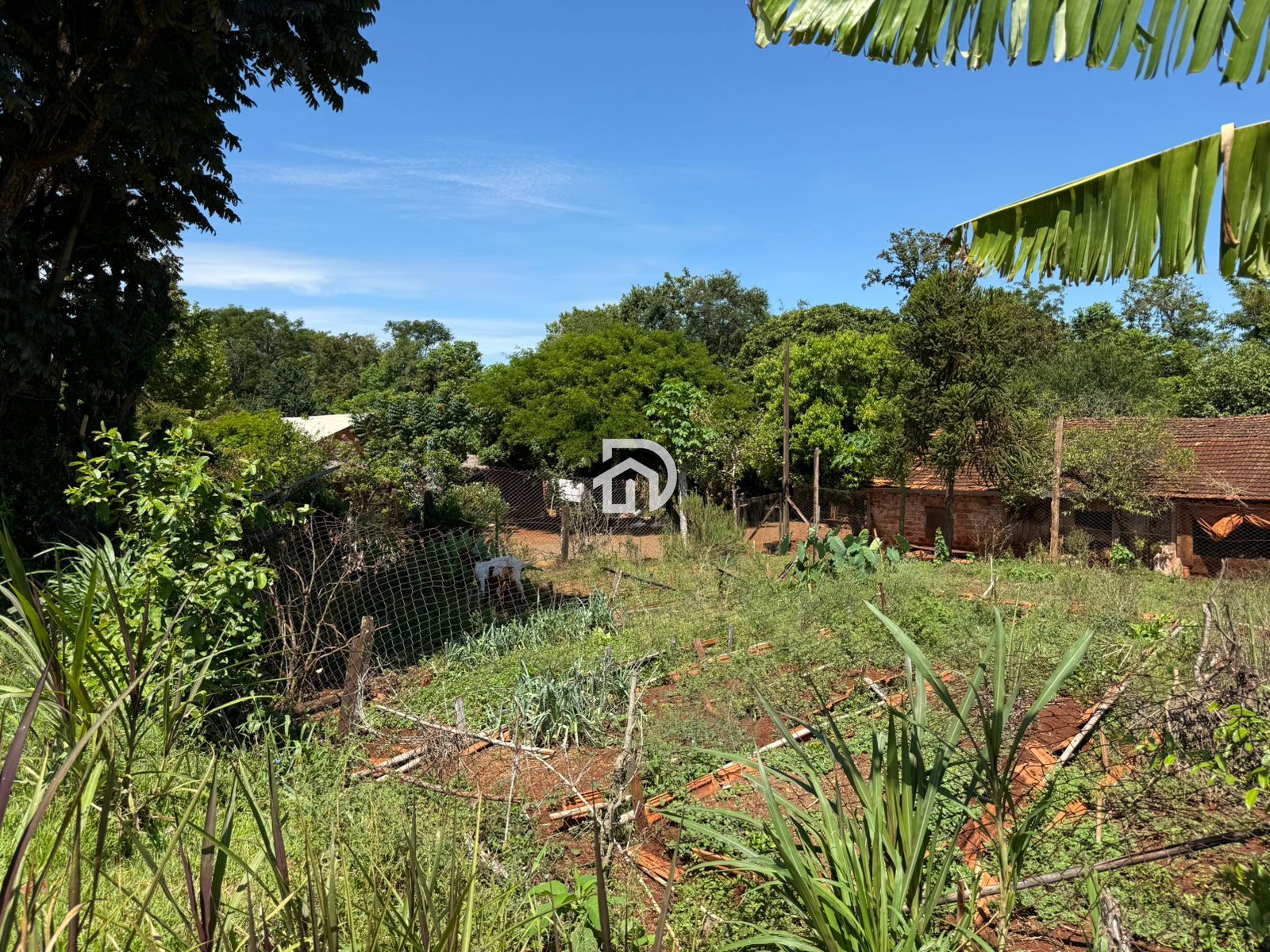 2.5 Alqueires com Casa na Linha Santa Cruz