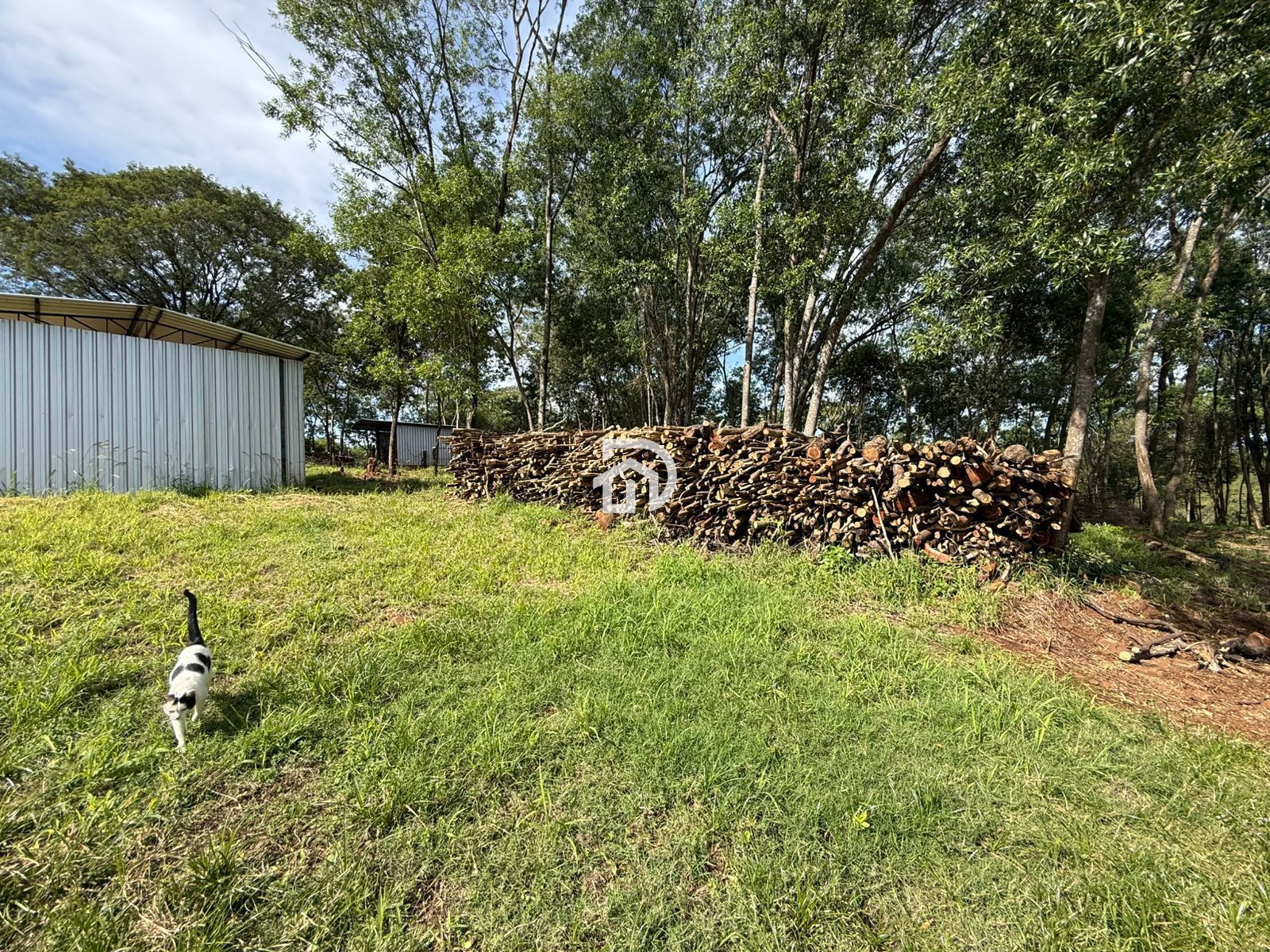 Área rural a venda distrito de sub-sede são francisco - foto 4