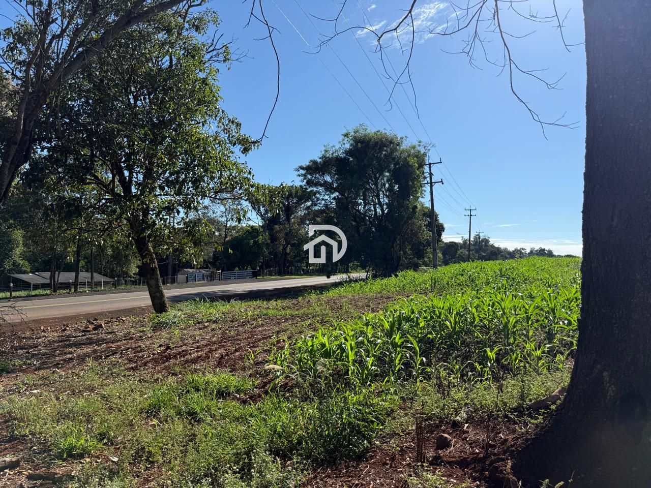 7,2 Alqueires a Venda com Casa na Linha Santa Cruz