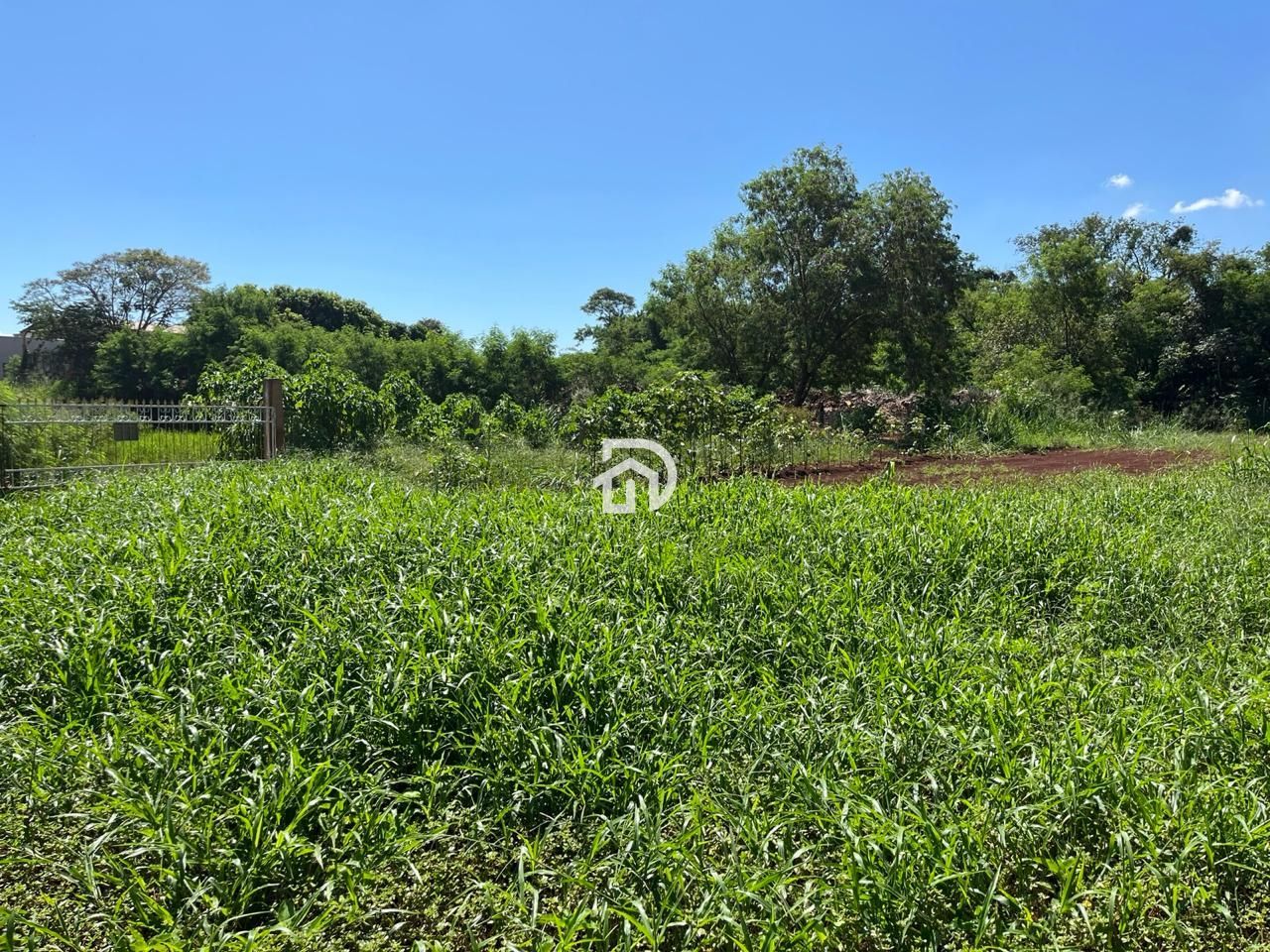Chácara por R$1.0000,00 no Bairro União em Santa Helena-PR - foto 7
