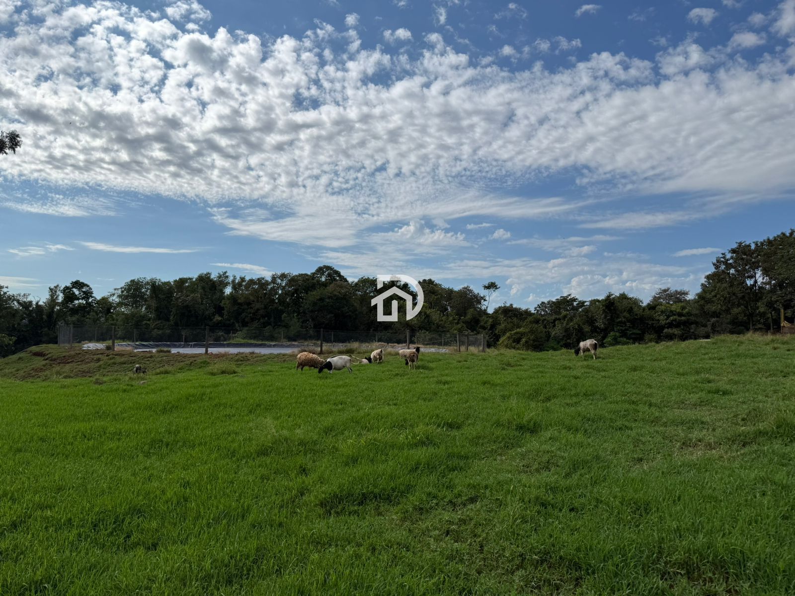 12 Alqueires por R$5.400.000 em São Miguelzinho em Santa Helena - PR