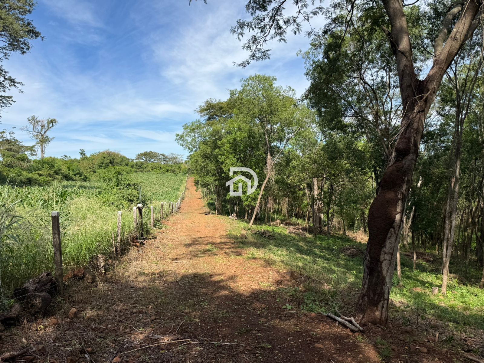 Área rural a venda distrito de sub-sede são francisco - foto 9