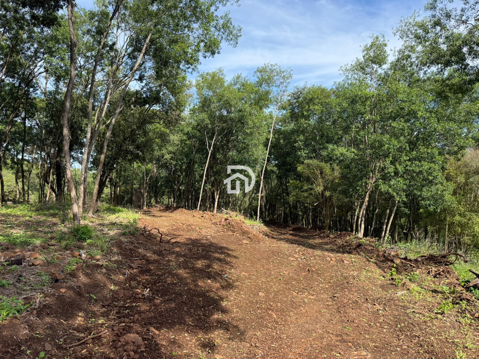 Área rural a venda distrito de sub-sede são francisco - foto 5
