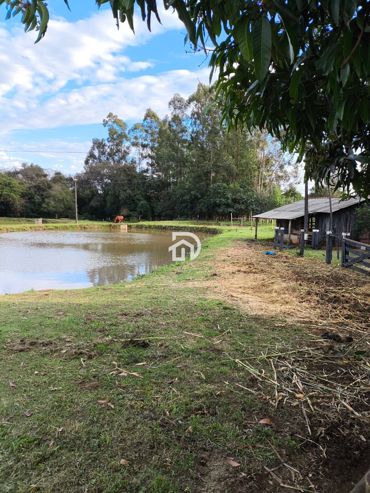 Chácara 3 dormitórios à venda Área Rural Distrito de São Clemente Santa Helena/PR - foto 11