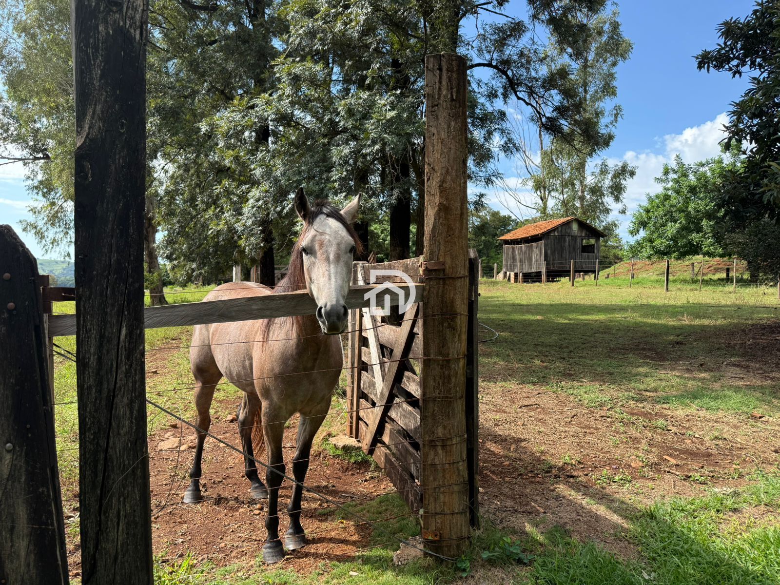 12 alqueires por R$5.400.000 em são miguelzinho em santa hel