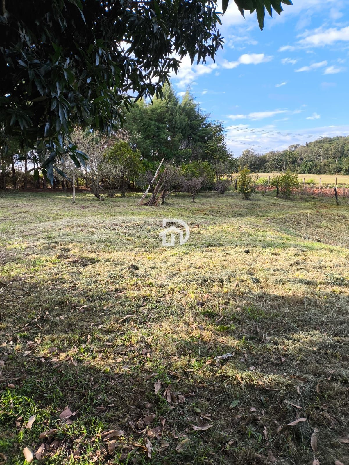Chácara 3 dormitórios à venda Área Rural Distrito de São Clemente Santa Helena/PR - foto 10