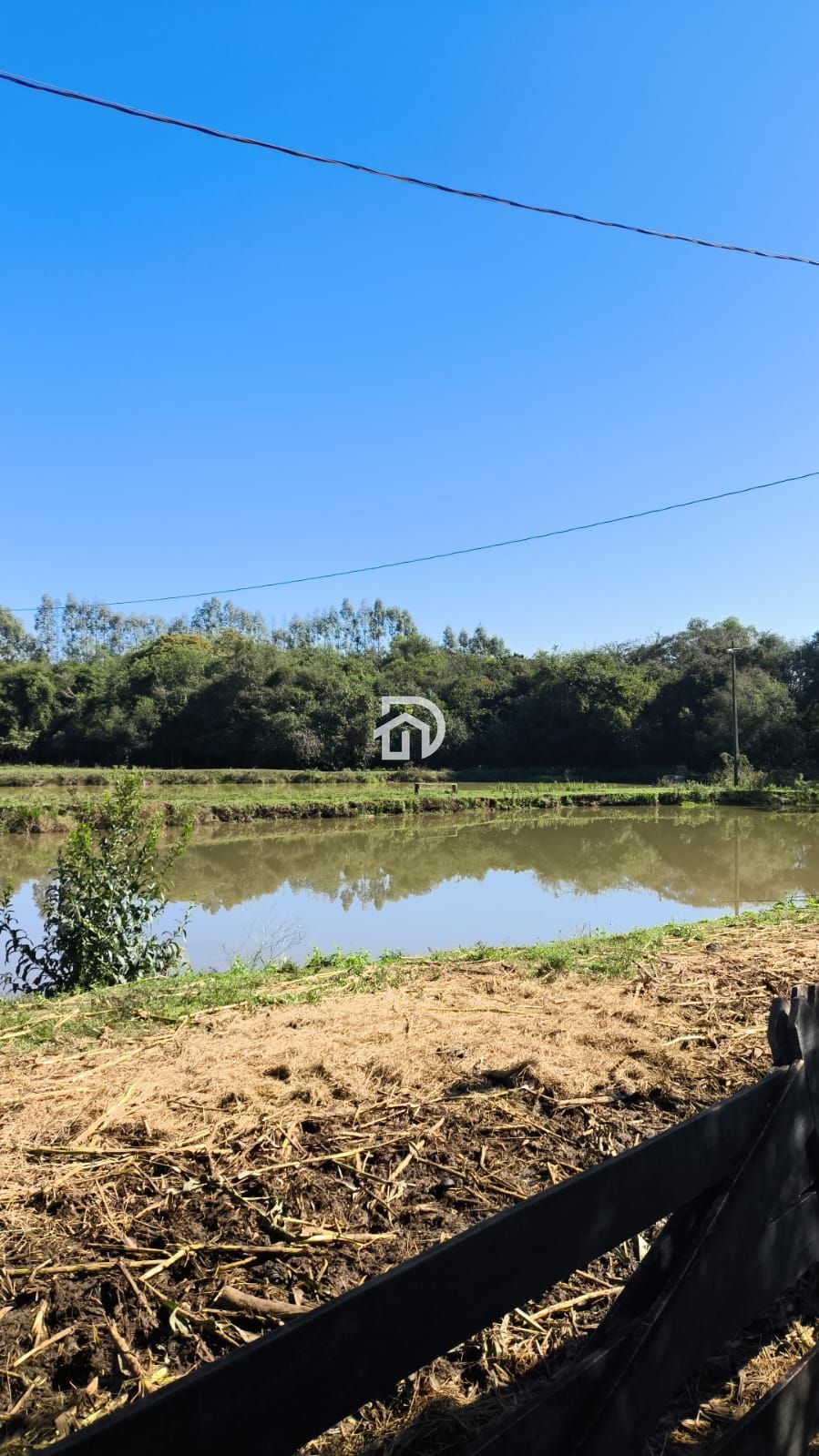 Chácara 3 dormitórios à venda Área Rural Distrito de São Clemente Santa Helena/PR - foto 8