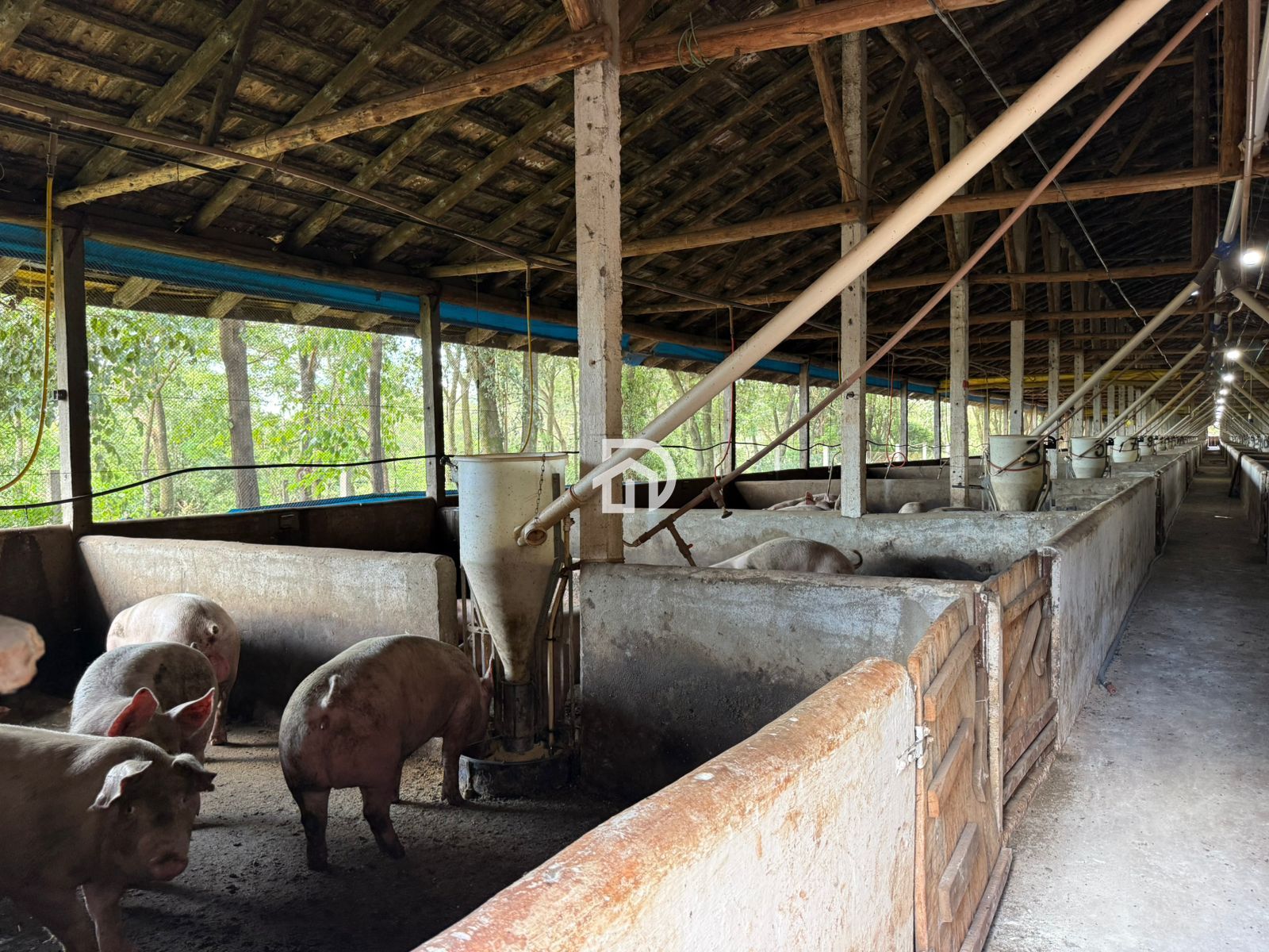 Chácara com 5 alqueires em são roque