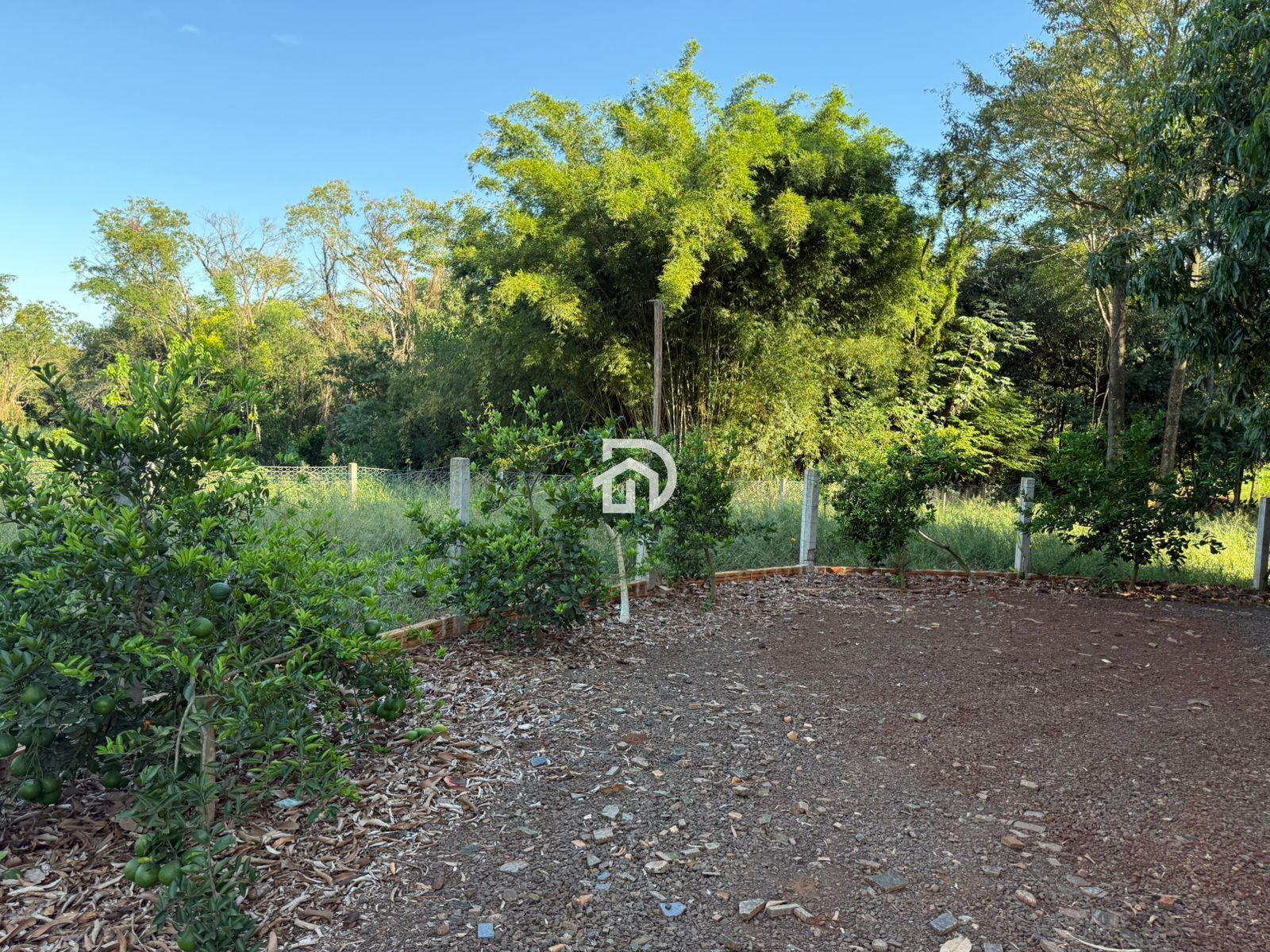 3,83 Alqueires com Casa na Linha Santa Cruz a Venda em Santa Helena-PR