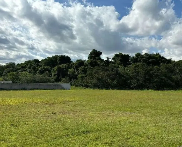 Terreno, 1000 m² - Foto 4