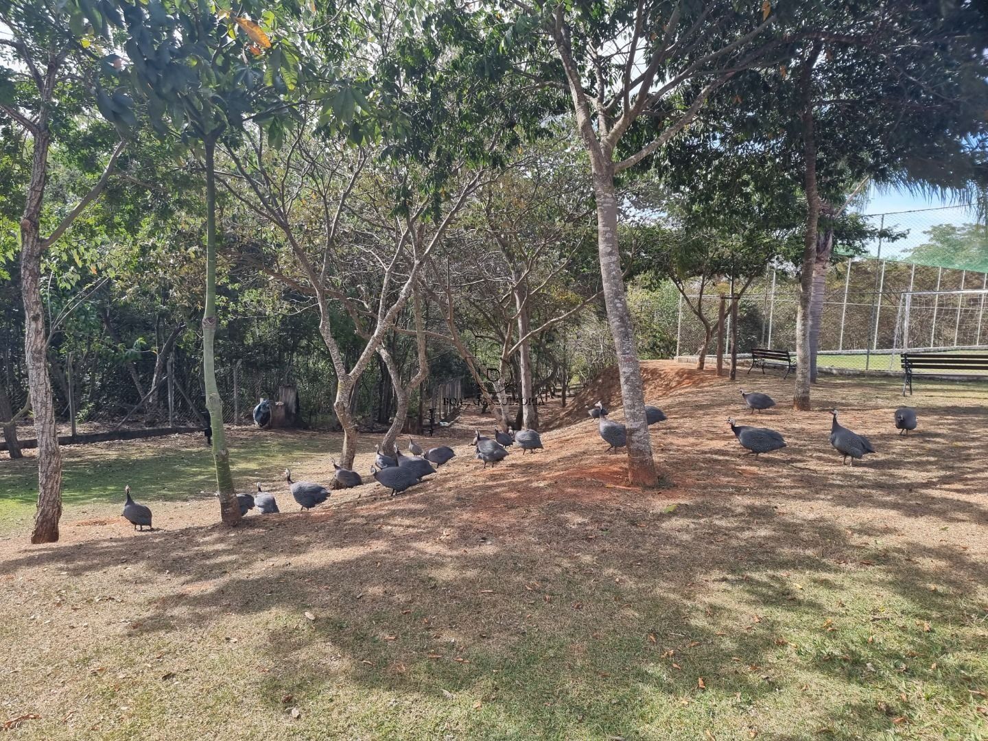 Casa em Aparecidinha, Sorocaba - Foto 3