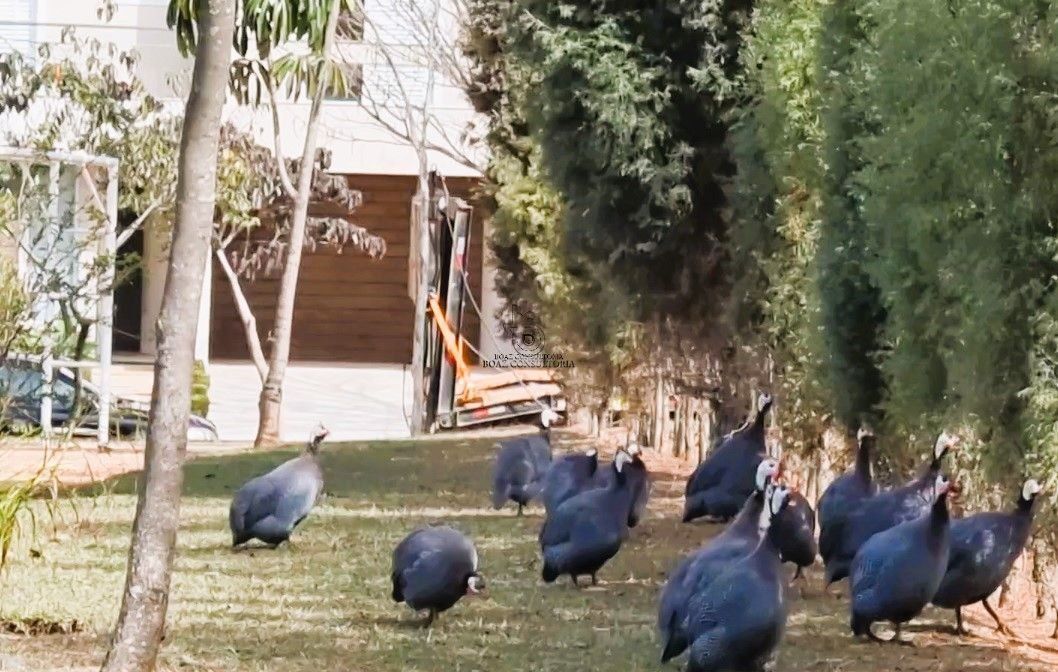 Casa em Jardim do Paço, Sorocaba - Foto 35